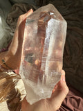 Large Himalayan Quartz Crystal - 8855
