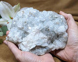 Apophyllite Crystal w Stilbite Inclusion, Angelic Apophyllite Crystal Specimen, Raw Apophyllite Cluster